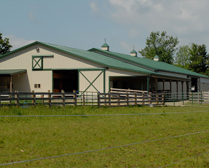 Stalls, tack room and arena