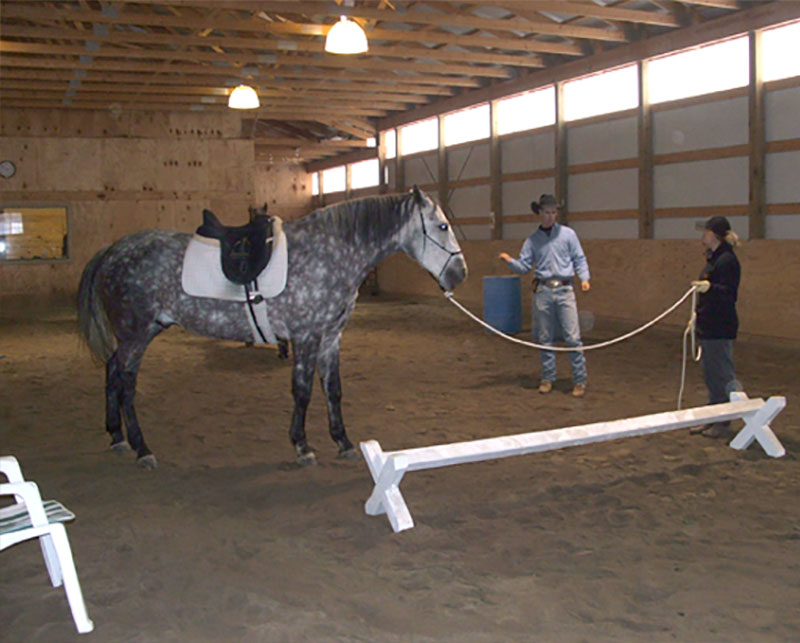 We have hosted natural horseman clinics