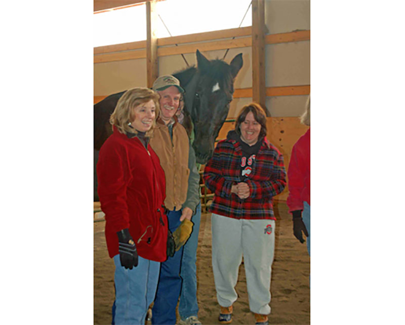 We also hosted a test session for equine assisted corporate team building